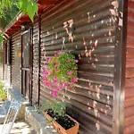 Hotel - Apollon Delphi