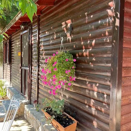 Hotel - Apollon Delfos