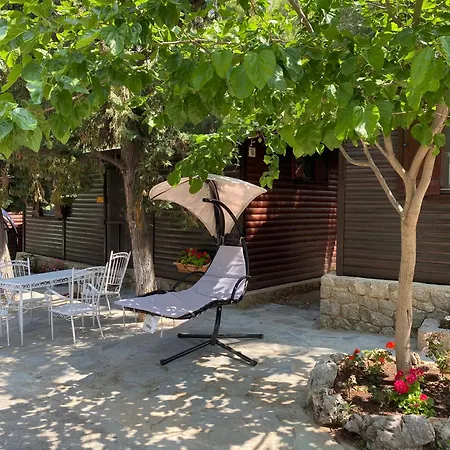 - Apollon Hotel Delfos